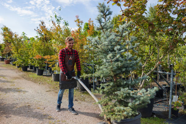 Mulching Services in East Franklin, NJ